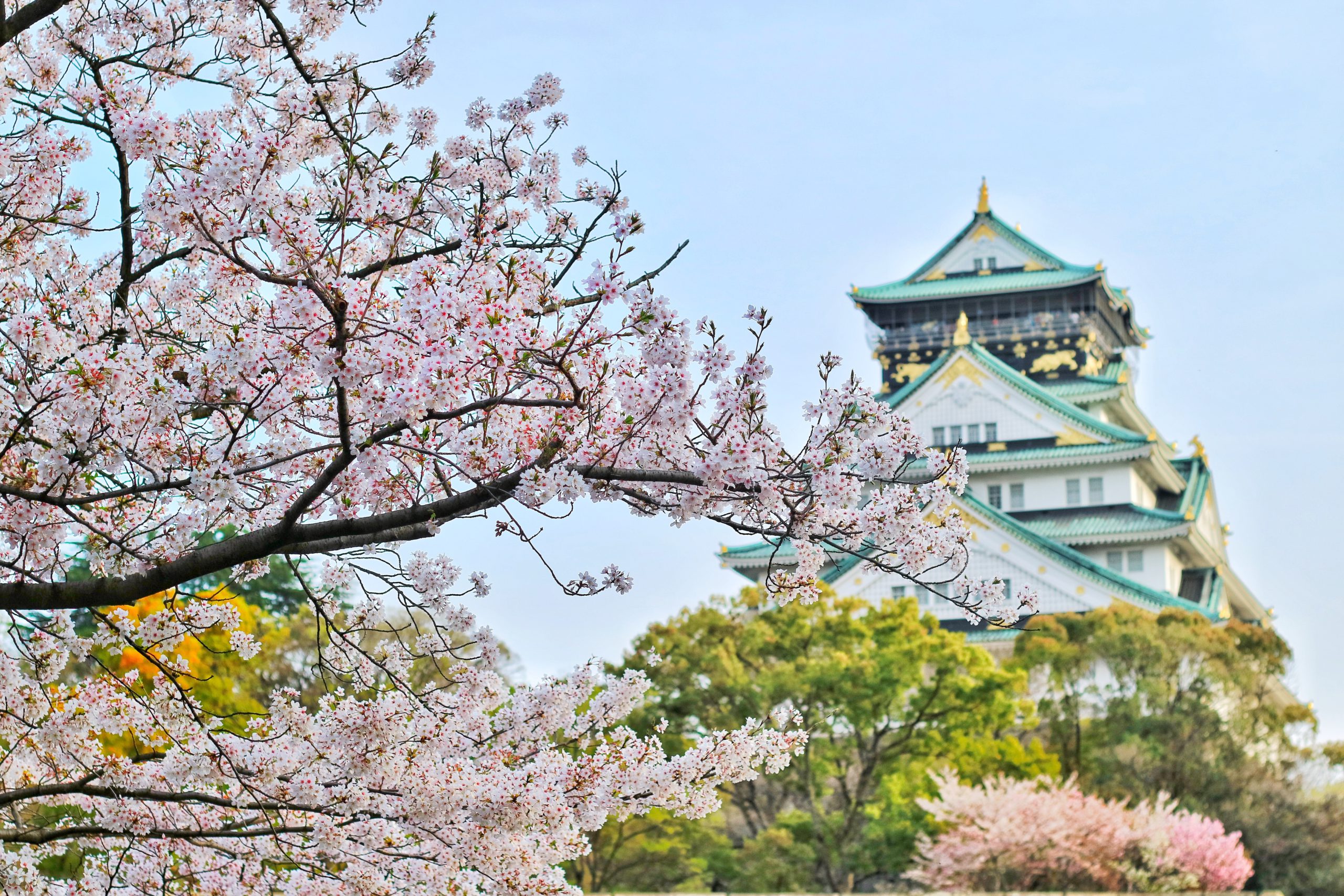 櫻花祭 (2021年3月15日 – 4月15日)